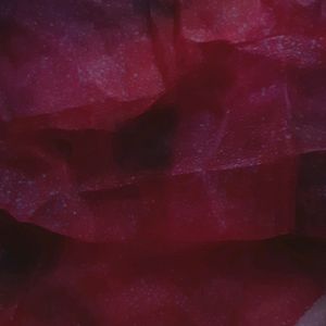 Organza Fabric