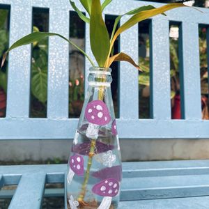 Painted Bottle for Plants