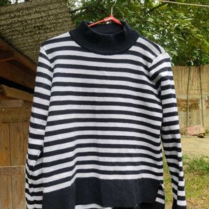 Striped Turtle Neck Top Sweater