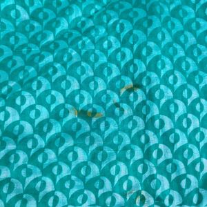 Sea Green saree With Border