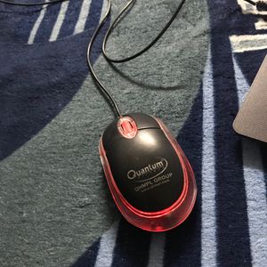 Quantum Mouse