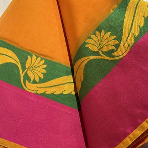 Exquisite Handloom Cotton Saree