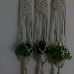 Plant Wall Hanging