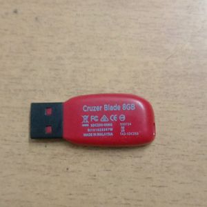 Pen Drive (8GB)