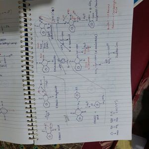 Organic Chemistry Notes