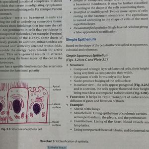 Human histology By Inderbir Singh