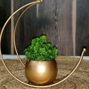 Showpiece Table Decor Planter