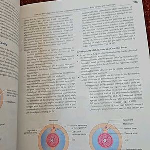 Human Embryology  IB Singh