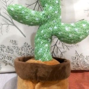 Dancing Cactus