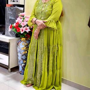 Beautiful Parrot Green Nayra Palazzo Set