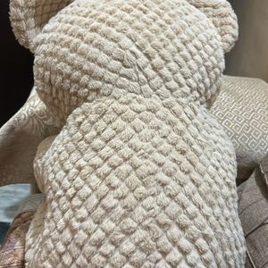 Teddy Bear Soft Toy