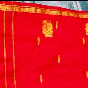 New Kanchi Border Saree