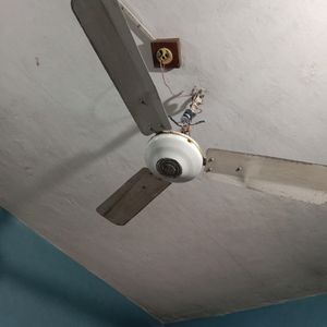 Ceiling Fan