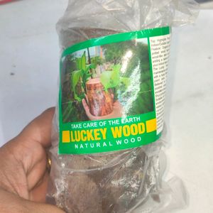 LUCKY WOOD | GOOD Luck plant