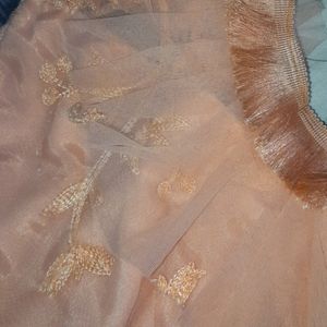 Peach Lehnga