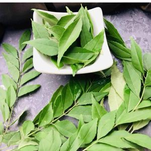 Curry leaves 🍃