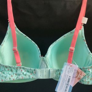 34C Padded Bra (Non-wired)