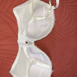 Plus Cup Size Bra