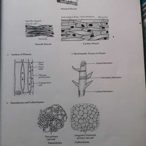 Oswaal Class 9 Sample Paper Science