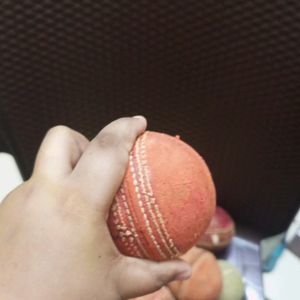 Sg Cricket Ball