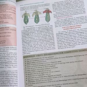 12 biology modern ABC