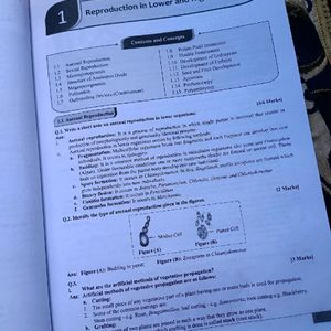 Target Precise Class 12 HSC Note