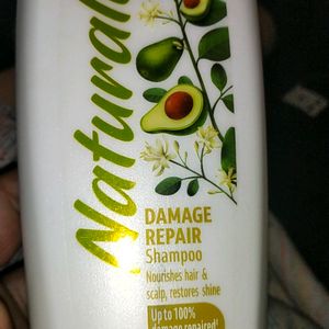 Shampoo