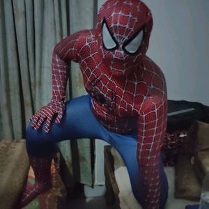 Spiderman Cosplay