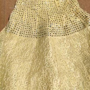 Embroidered Lehenga Choli