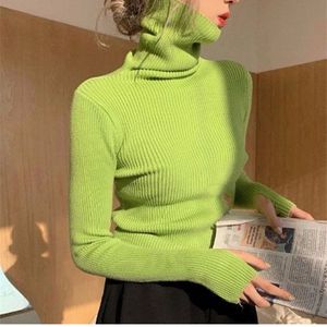 Imported Ribbed Knit Turtle Neck Sweater