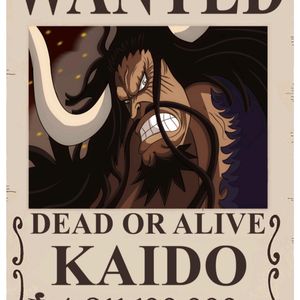 Pack Of 20 Wanted One Piece Anime Poster