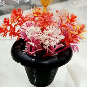 Beautiful Flowers Pot