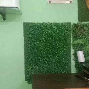 Artificial Grass Mat For Wall 🧱