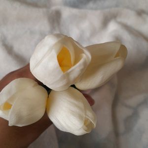 Aesthetic White Tulips Pack Of 4