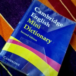 Mini Dictionary