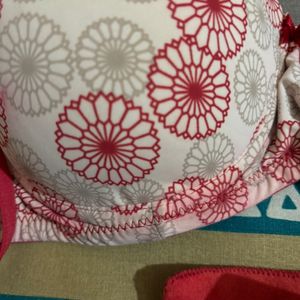 38B Bra