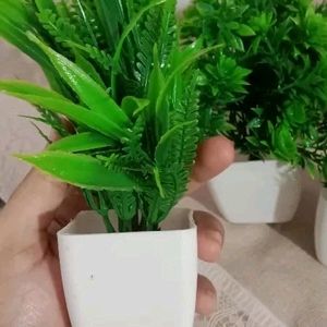 6 Artificial Plant ☘️