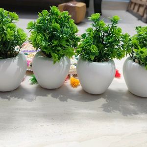 Pack Of 4 Artificial Plants