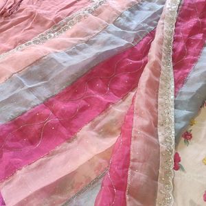 Organza Dupatta Handwork Wedding Dress