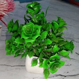 Very Low Price Pack Of 6 Artificial Flowers Plants