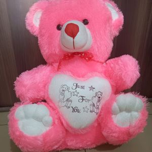 Pink 🩷 Super Soft Teddy