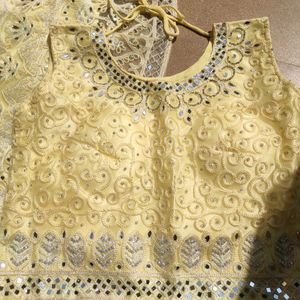 Embroidered Lehenga Choli