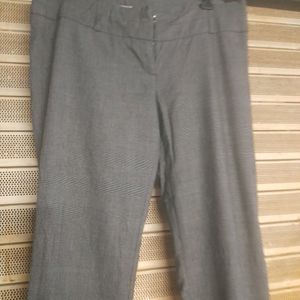 Ladies Pant