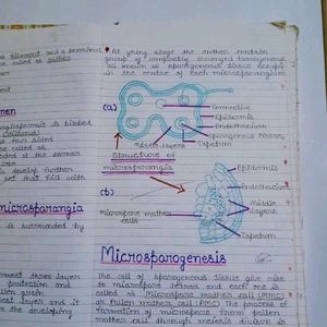 Biology & Physics Notes For Class 12th CBSE