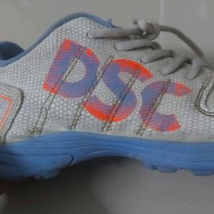 DSC Fearless Cricket Shoes