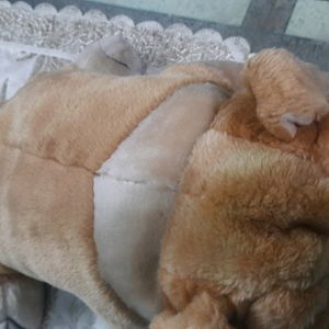 Cute Soft Toy Of Dog