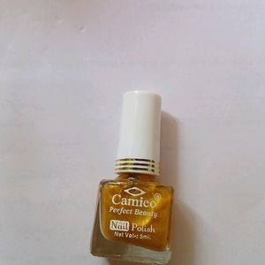 Nail Polish Brand New