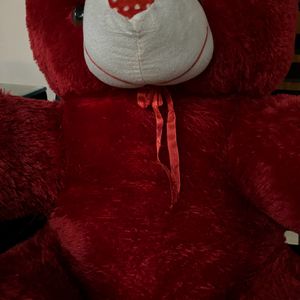 Red Big Teddy Bear