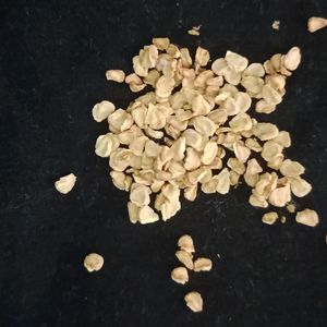 4 Seeds Mehndi ,Kadam,Dhatura ,Tomato
