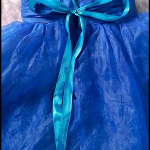 Barbie Organza Fabric Beautiful Flowy Short Dress